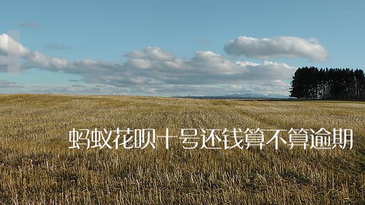 蚂蚁花呗十号还钱算不算逾期