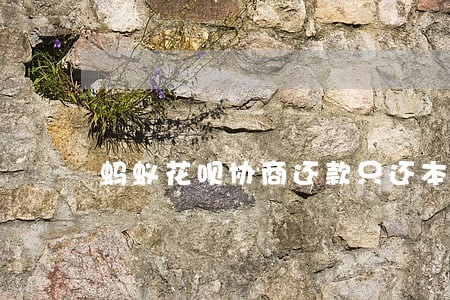 蚂蚁花呗协商还款只还本金 蚂蚁花呗协商还款只还本金