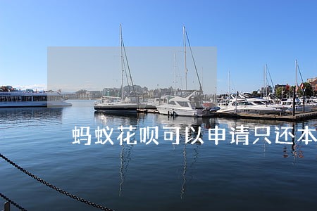 蚂蚁花呗可以申请只还本金吗 蚂蚁花呗可以申请只还本金吗