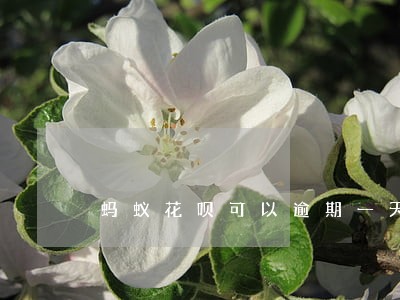 蚂蚁花呗可以逾期一天 蚂蚁花呗可以逾期一天
