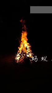 蚂蚁花呗可以逾期还款吗 蚂蚁花呗可以逾期还款吗