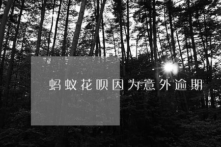 蚂蚁花呗因为意外逾期 蚂蚁花呗因为意外逾期