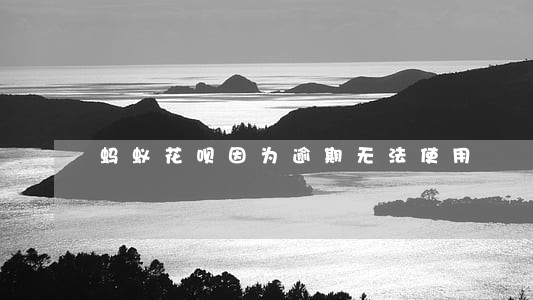 蚂蚁花呗因为逾期无法使用 蚂蚁花呗因为逾期无法使用
