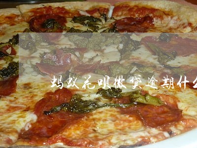 蚂蚁花呗微贷逾期什么时候解冻 蚂蚁花呗微贷逾期什么时候解冻
