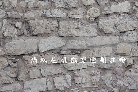 蚂蚁花呗微贷逾期在哪 蚂蚁花呗微贷逾期在哪