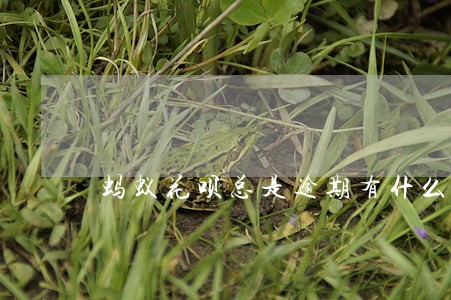 蚂蚁花呗总是逾期有什么危害 蚂蚁花呗总是逾期有什么危害