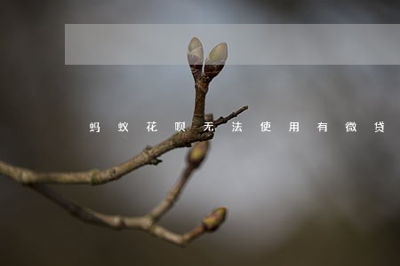 蚂蚁花呗无法使用有微贷逾期