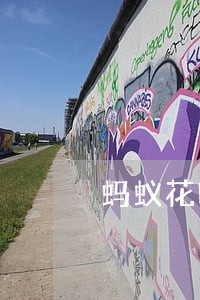 蚂蚁花呗曾经有6次逾期 蚂蚁花呗曾经有6次逾期