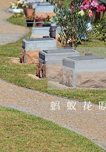蚂蚁花呗最低还款会算逾期吗