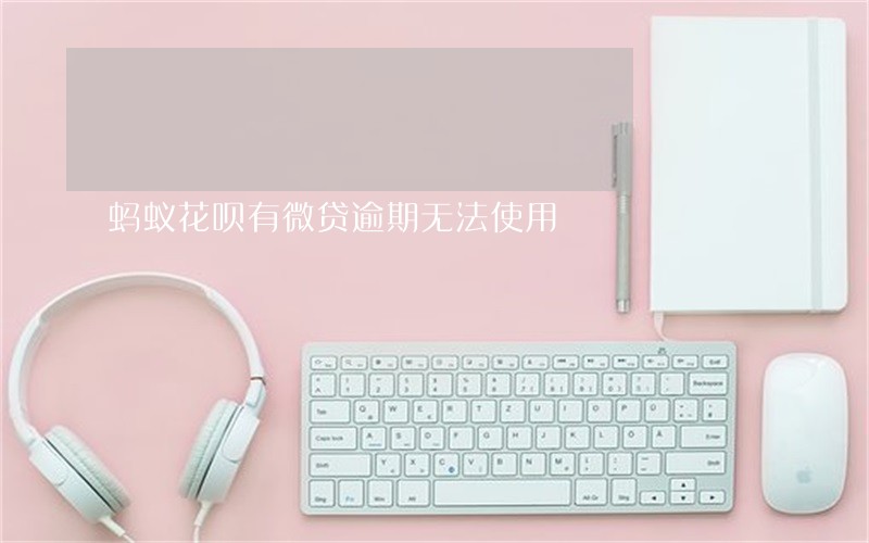 蚂蚁花呗有微贷逾期无法使用 蚂蚁花呗有微贷逾期无法使用