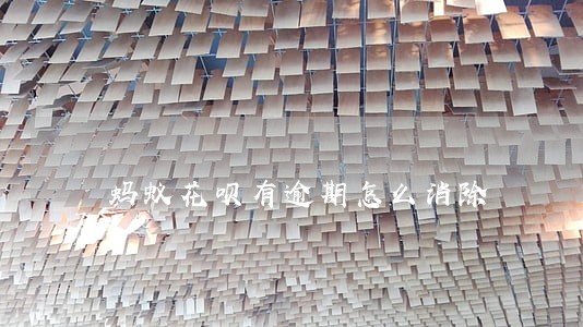 蚂蚁花呗有逾期怎么消除 蚂蚁花呗有逾期怎么消除