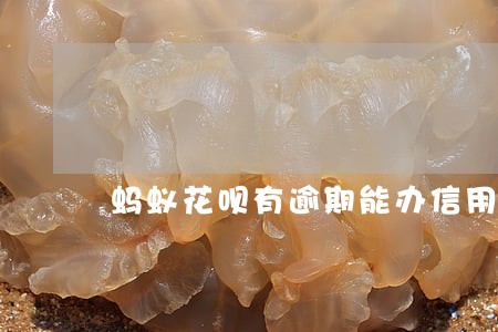 蚂蚁花呗有逾期能办信用卡吗 蚂蚁花呗有逾期能办信用卡吗