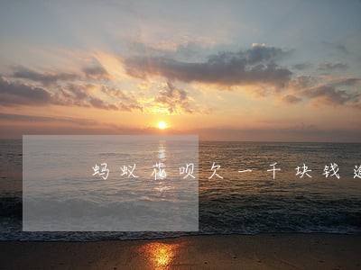 蚂蚁花呗欠一千块钱逾期一年 蚂蚁花呗欠一千块钱逾期一年