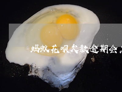 蚂蚁花呗欠款逾期会怎么样 蚂蚁花呗欠款逾期会怎么样