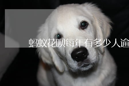 蚂蚁花呗每年有多少人逾期 蚂蚁花呗每年有多少人逾期
