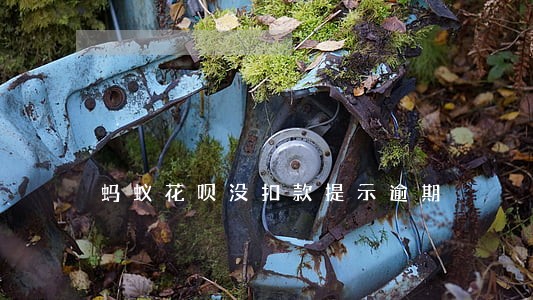 蚂蚁花呗没扣款提示逾期 蚂蚁花呗没扣款提示逾期