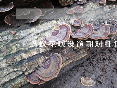 蚂蚁花呗没逾期对征信有影响吗