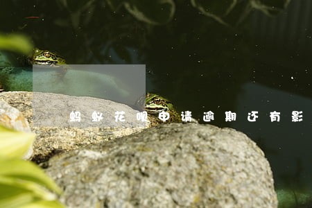 蚂蚁花呗申请逾期还有影响吗 蚂蚁花呗申请逾期还有影响吗