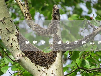 蚂蚁花呗说有微产品逾期 蚂蚁花呗说有微产品逾期