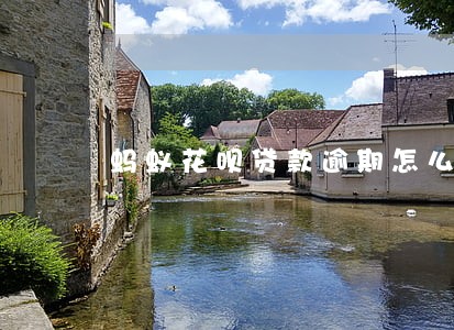 蚂蚁花呗贷款逾期怎么办 蚂蚁花呗贷款逾期怎么办
