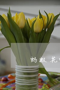 蚂蚁花呗超几天算逾期 蚂蚁花呗超几天算逾期