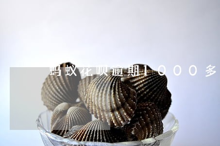 蚂蚁花呗逾期1000多 蚂蚁花呗逾期1000多