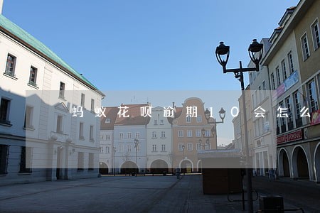 蚂蚁花呗逾期10会怎么样 蚂蚁花呗逾期10会怎么样