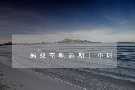 蚂蚁花呗逾期1小时 蚂蚁花呗逾期1小时