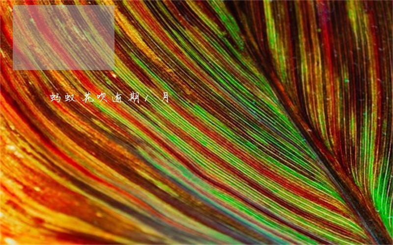 蚂蚁花呗逾期1月 蚂蚁花呗逾期1月