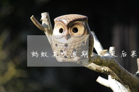 蚂蚁花呗逾期20天后果 蚂蚁花呗逾期20天后果