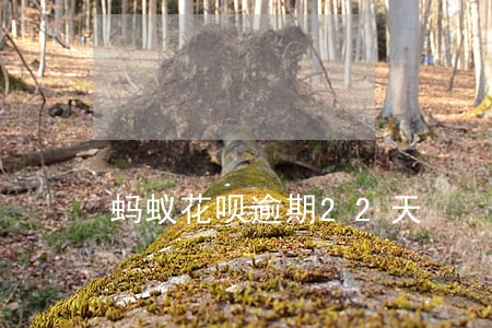 蚂蚁花呗逾期22天 蚂蚁花呗逾期22天