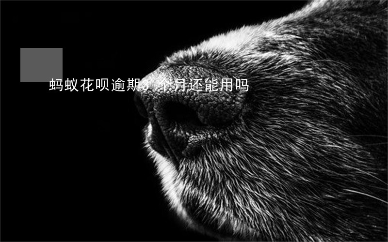 蚂蚁花呗逾期3个月还能用吗