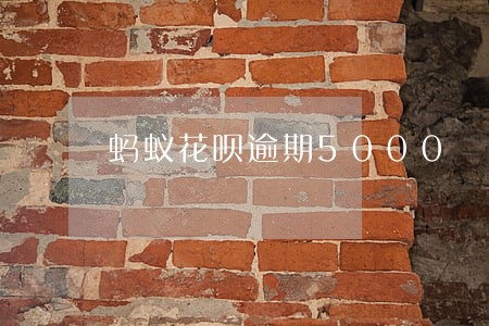 蚂蚁花呗逾期5000 蚂蚁花呗逾期5000