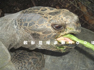 蚂蚁花呗逾期500块钱 蚂蚁花呗逾期500块钱