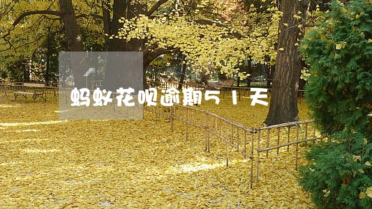 蚂蚁花呗逾期51天 蚂蚁花呗逾期51天