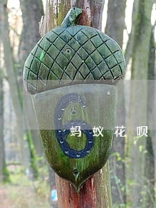 蚂蚁花呗逾期5天有什么后果 蚂蚁花呗逾期5天有什么后果