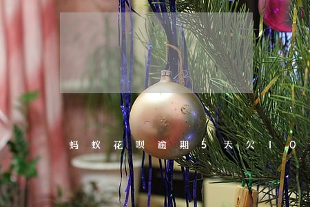 蚂蚁花呗逾期5天欠10元 蚂蚁花呗逾期5天欠10元