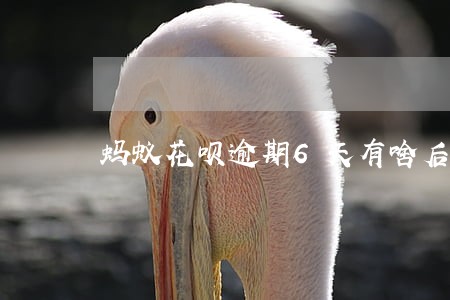 蚂蚁花呗逾期6天有啥后果 蚂蚁花呗逾期6天有啥后果