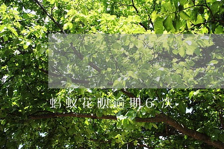 蚂蚁花呗逾期6次