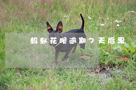 蚂蚁花呗逾期7天后果 蚂蚁花呗逾期7天后果