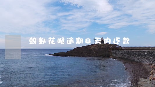 蚂蚁花呗逾期8天内还款 蚂蚁花呗逾期8天内还款