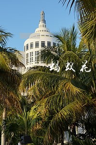 蚂蚁花呗逾期一天信用卡吗 蚂蚁花呗逾期一天信用卡吗