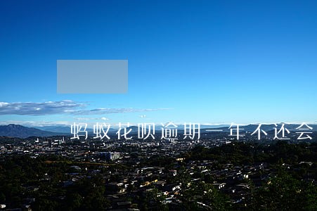 蚂蚁花呗逾期一年不还会怎样 蚂蚁花呗逾期一年不还会怎样