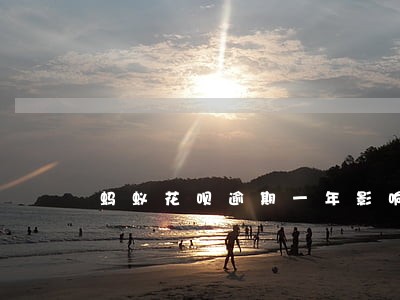 蚂蚁花呗逾期一年影响买房吗 蚂蚁花呗逾期一年影响买房吗
