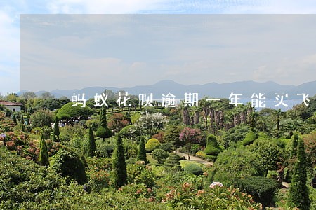 蚂蚁花呗逾期一年能买飞机票吗