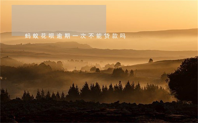 蚂蚁花呗逾期一次不能贷款吗 蚂蚁花呗逾期一次不能贷款吗
