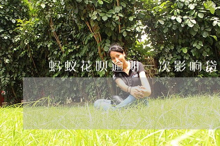 蚂蚁花呗逾期一次影响贷款吗 蚂蚁花呗逾期一次影响贷款吗