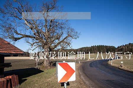蚂蚁花呗逾期七八次后守约 蚂蚁花呗逾期七八次后守约