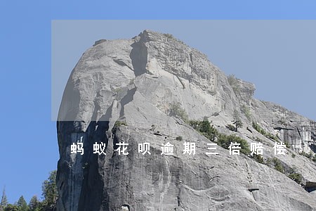 蚂蚁花呗逾期三倍赔偿 蚂蚁花呗逾期三倍赔偿