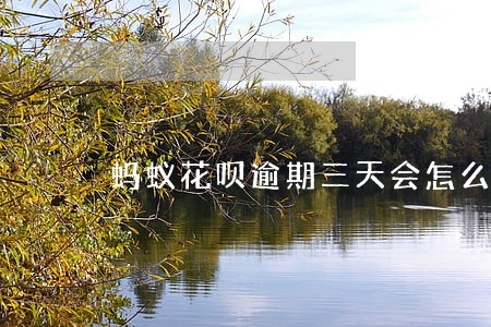 蚂蚁花呗逾期三天会怎么样 蚂蚁花呗逾期三天会怎么样